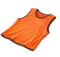 Training Bib